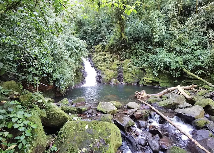 Cabana Montana De Suenos