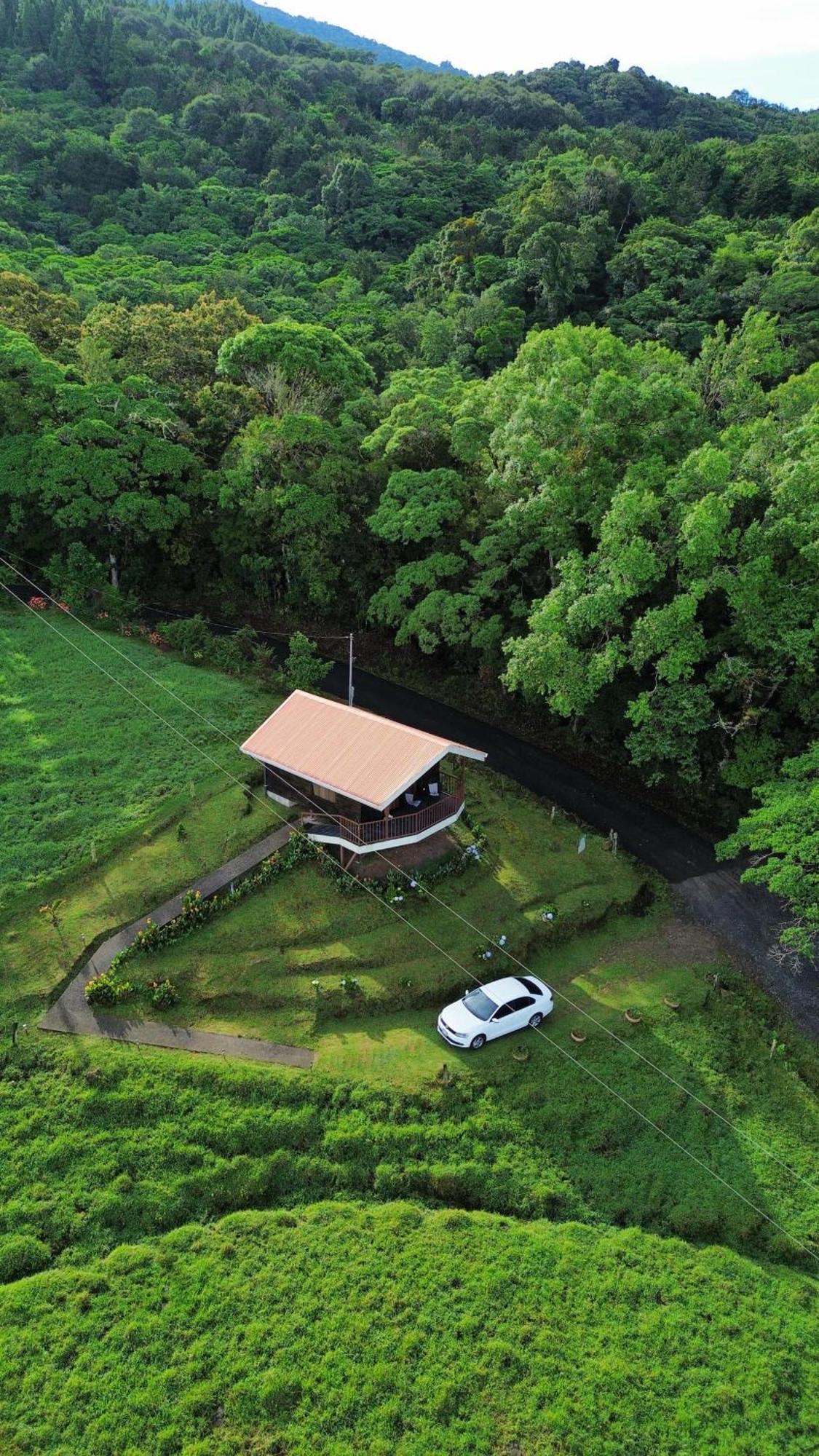 Montana De Suenos Quesada (Alajuela)